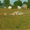 Old dugouts destroyed